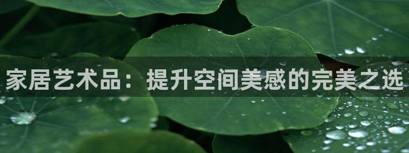 ug环球会员
