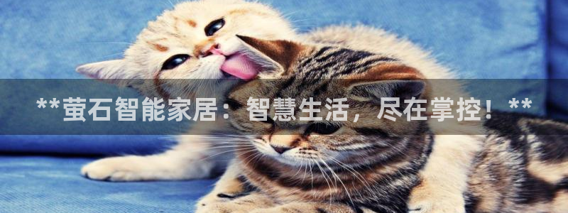 UG环球官方网
