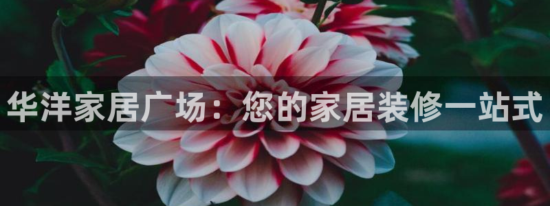 ug环球官网合作