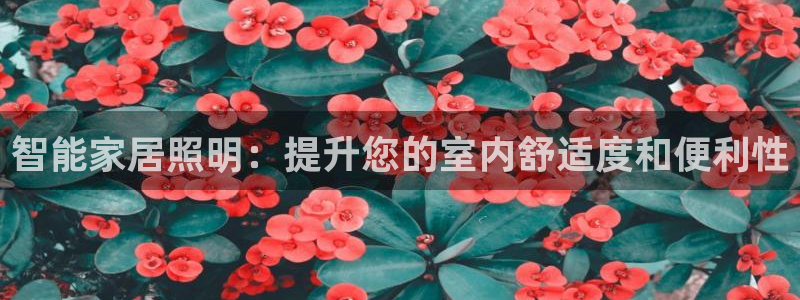 ug环球360