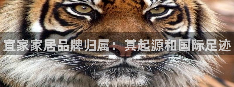 环球ug官网代理