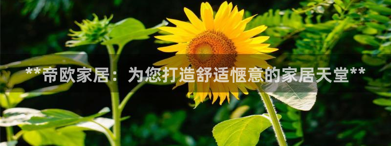Ug环球私网一比一