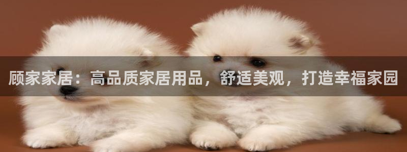 ug环球会员手机版下载官网