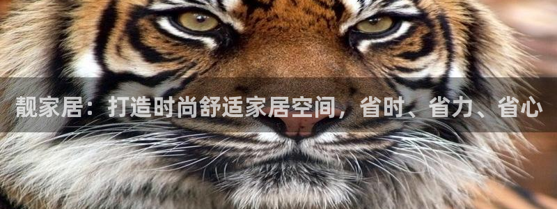 uG环球网站