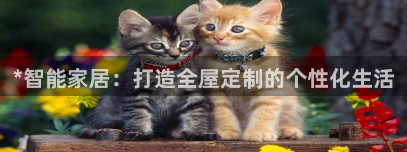 ug环球找唯xkk 908