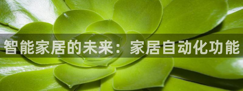 ug环球国际官网