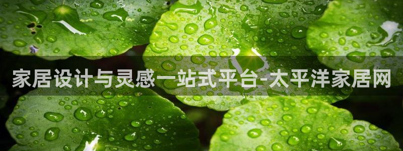 UG环球国际在线