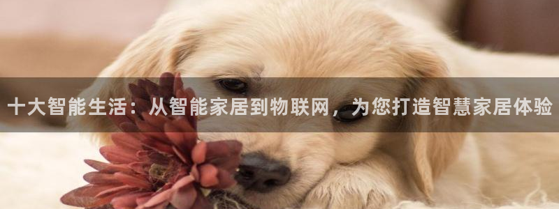 uG环球网站