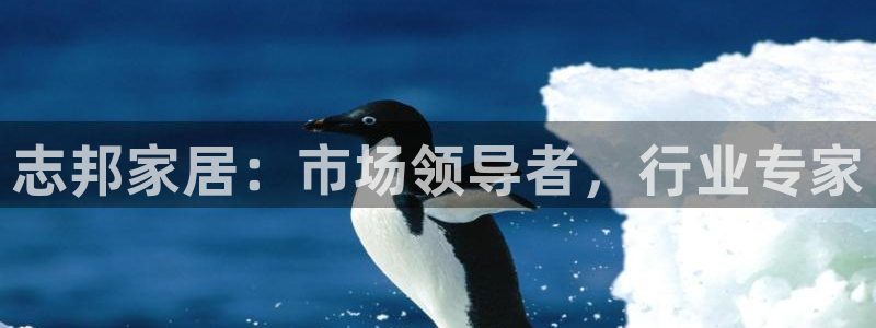 ug环球去唯xkk908