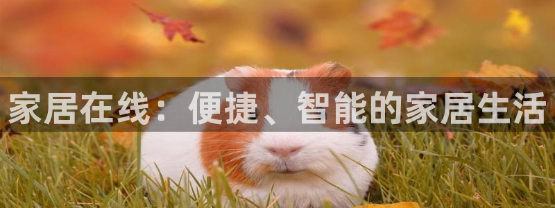 ug环球官网环球360