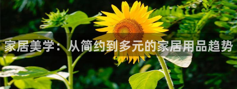 环球ug包杀网一比一