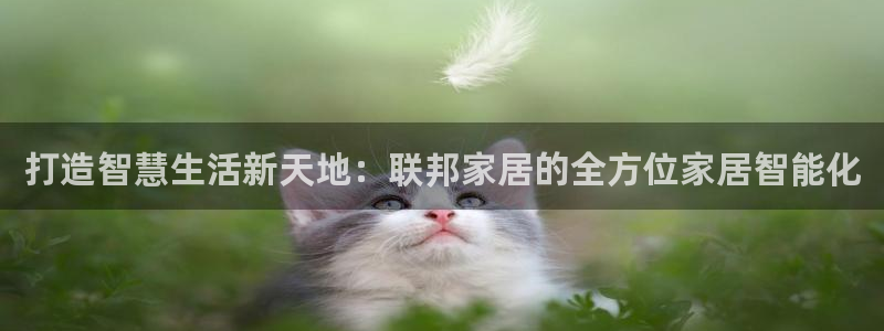 ug环球官网会员