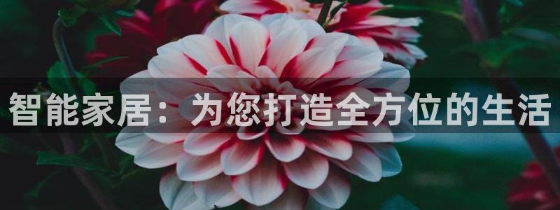 Ug环球私网一比一