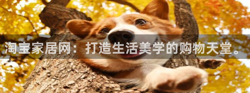 uG环球游戏网站