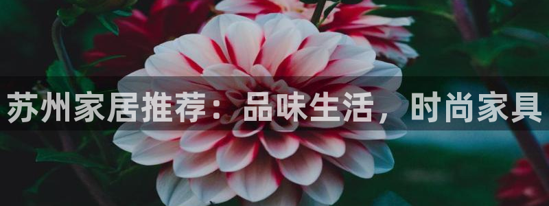 ug环球官网环球360