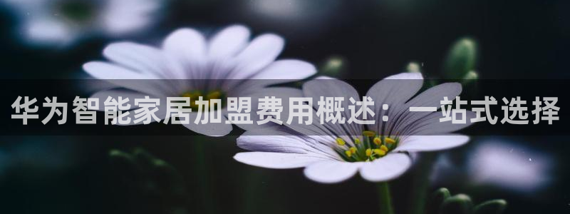 ug环球找唯xkk 908