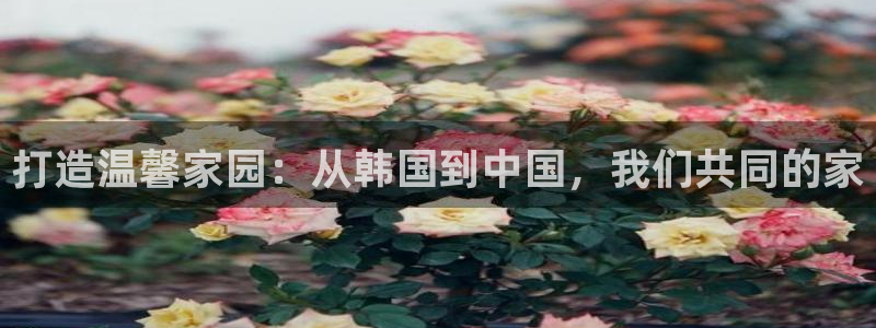 ug环球会员登录