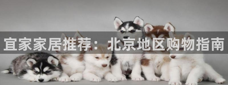 环球ug官网：宜家家居推荐：北京地区购物