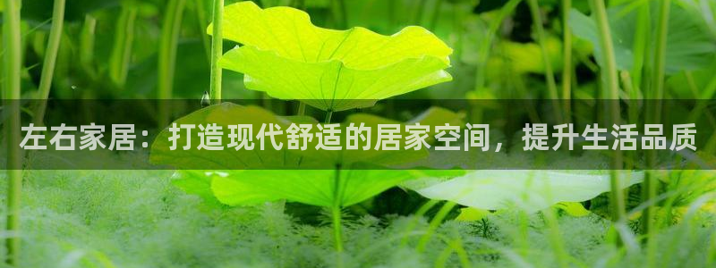 ug环球假网一比一人才：左右家居：打造现