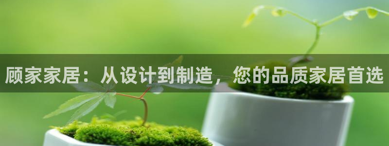 ug环球官网会员登录：顾家家居：从设计到