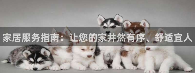 ug环球会员开户