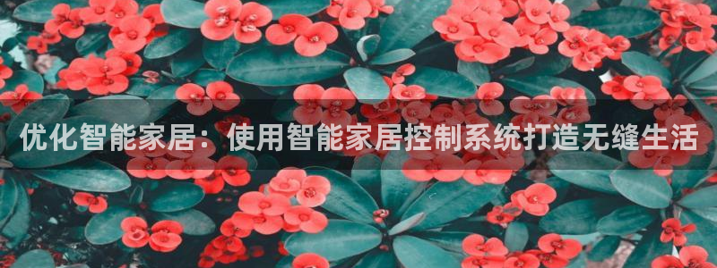 ug环球假网一比一