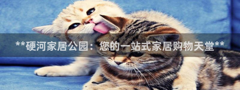 ug环球会员开户