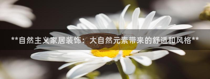 ug环球代理开户