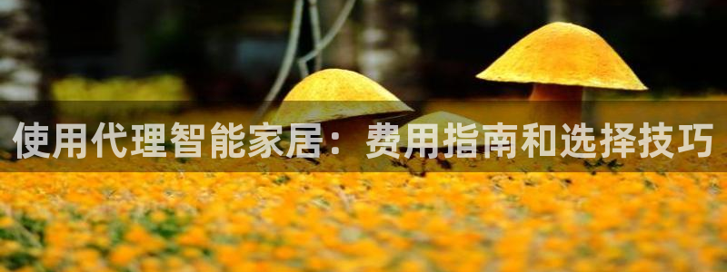 ug环球视讯真假