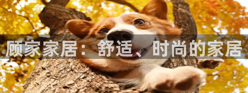 UG环球官网