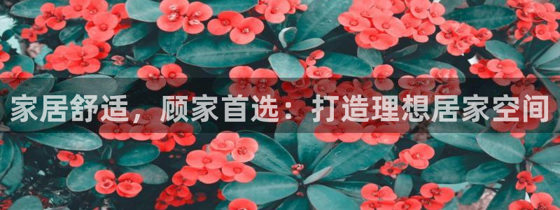 ug环球360