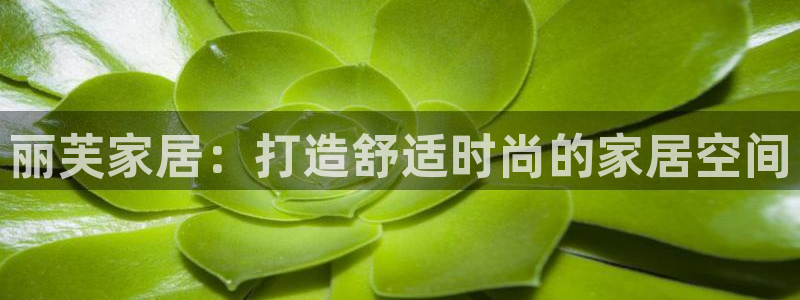 UG环球假网一比一包杀网