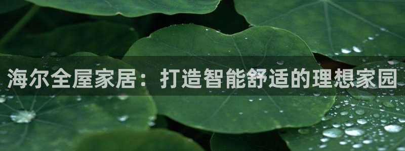 UG环球会员官方