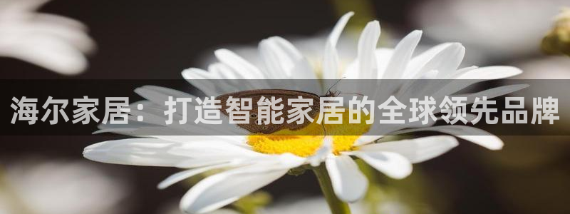 ug环球真假