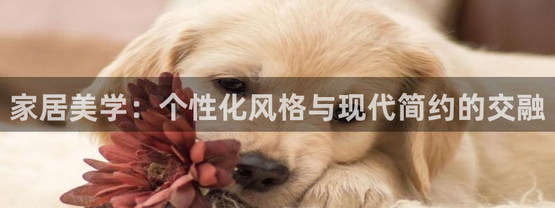 ug环球视讯官网网址